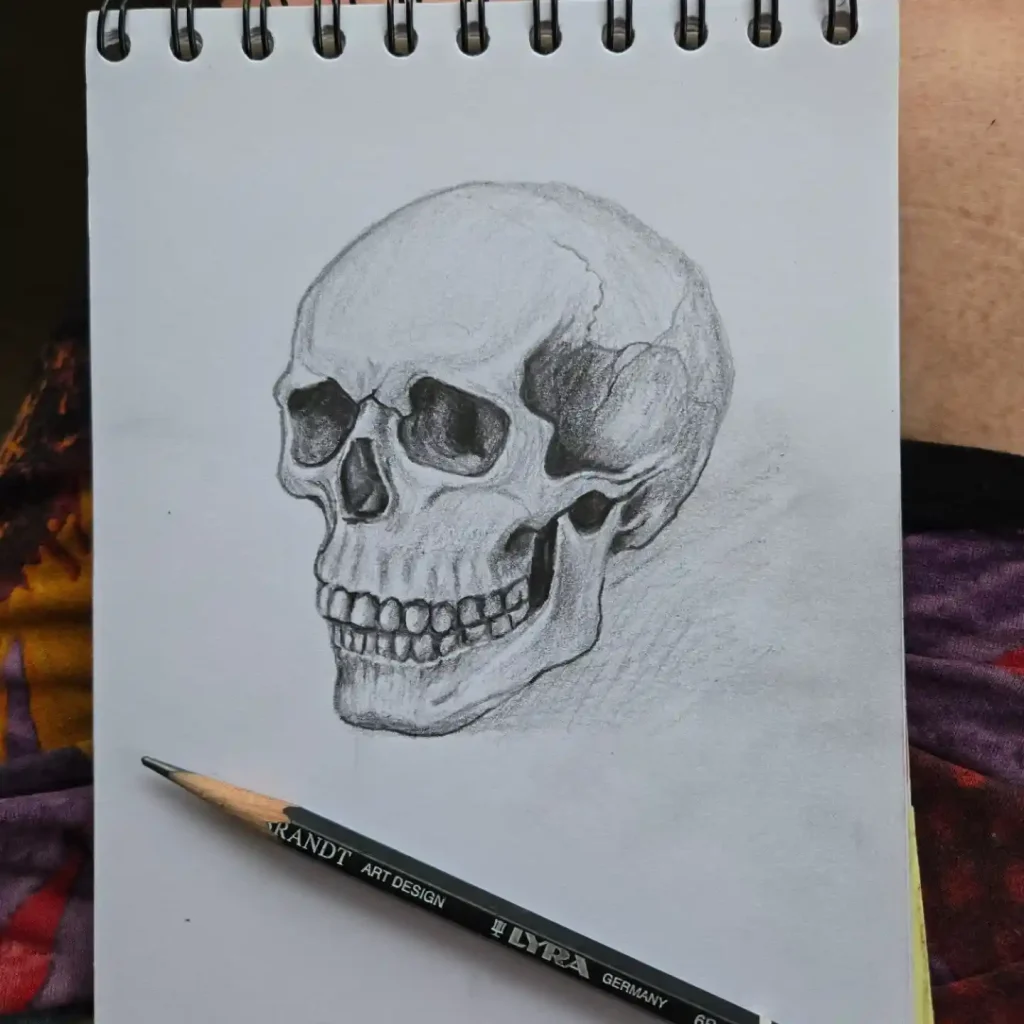 Skull Drawings
