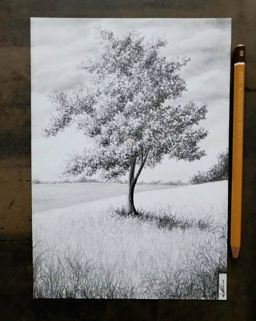 Tree Drawings