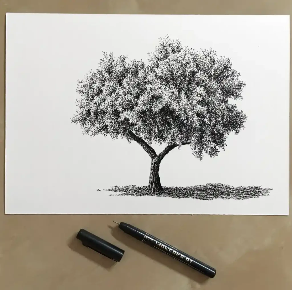 Tree Drawings
