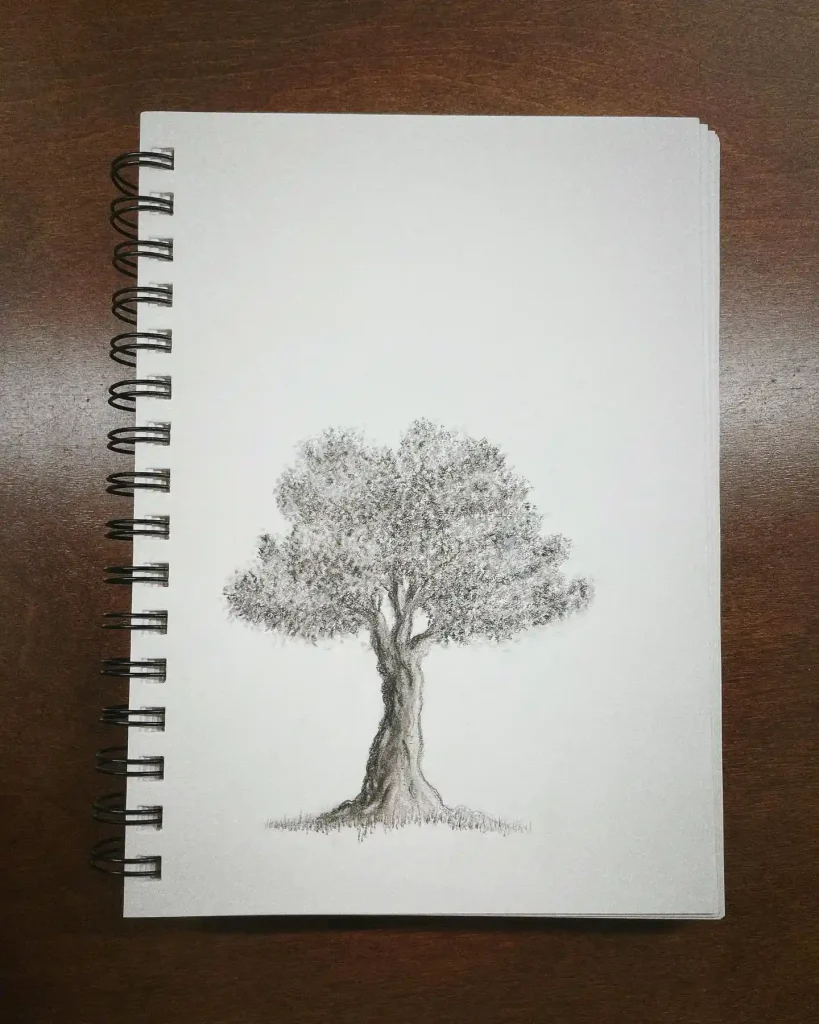 Tree Drawings