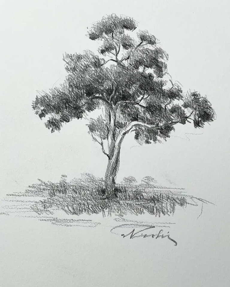 20 Stunning Tree Drawings Ideas: How to Master Nature Art Techniques for Beginners and Pros?
