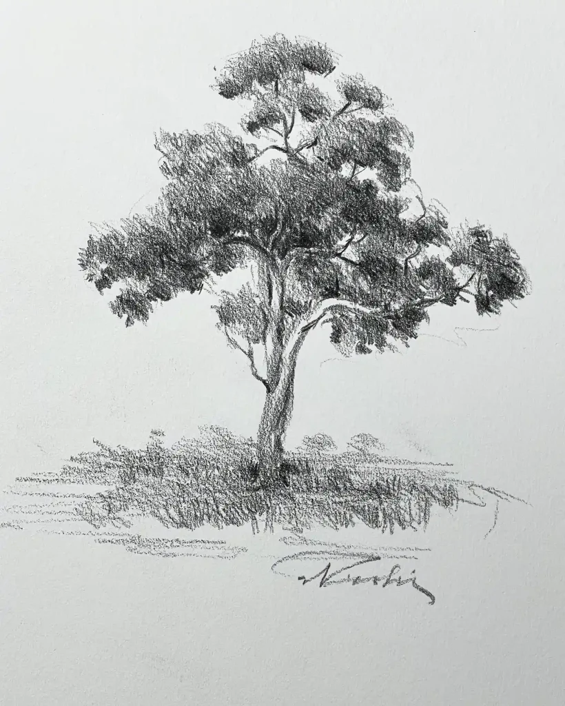 Tree Drawings