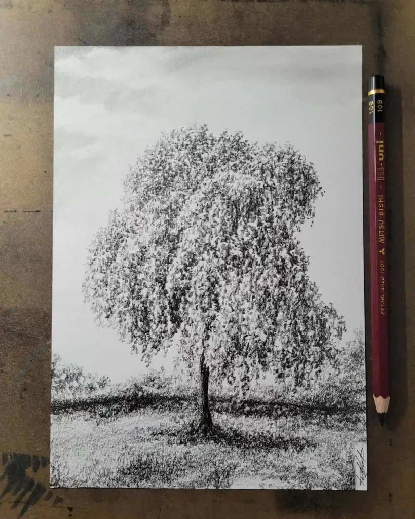 Tree Drawings