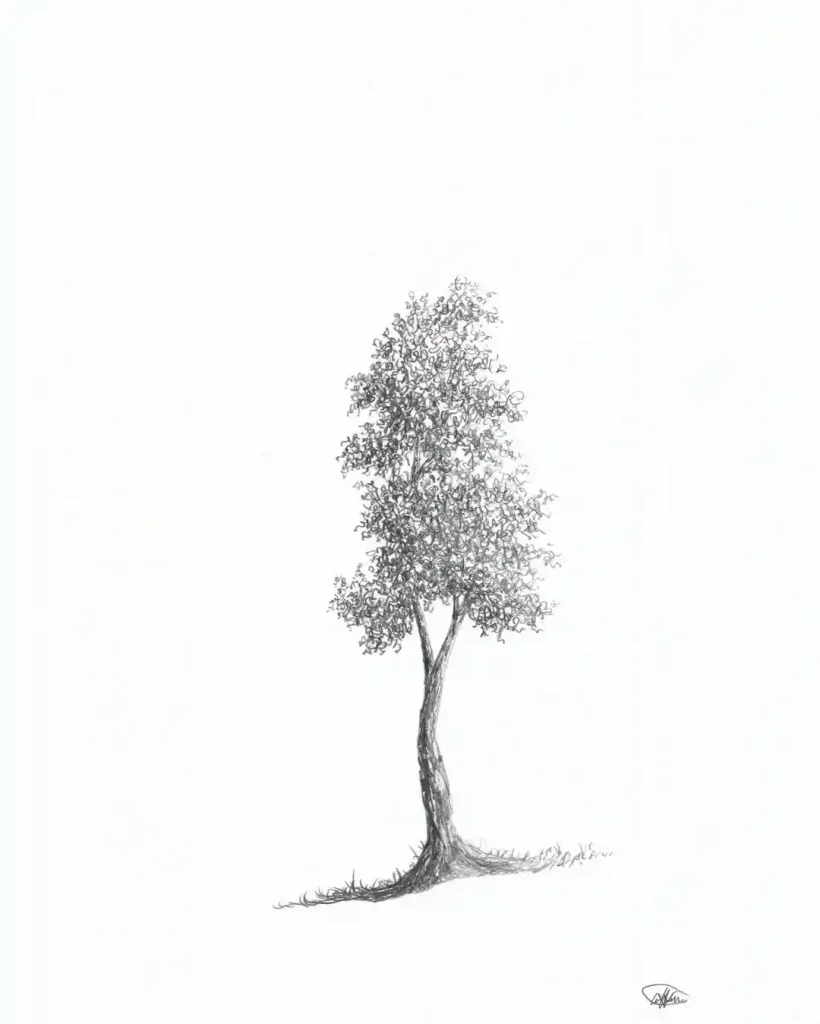 Tree Drawings