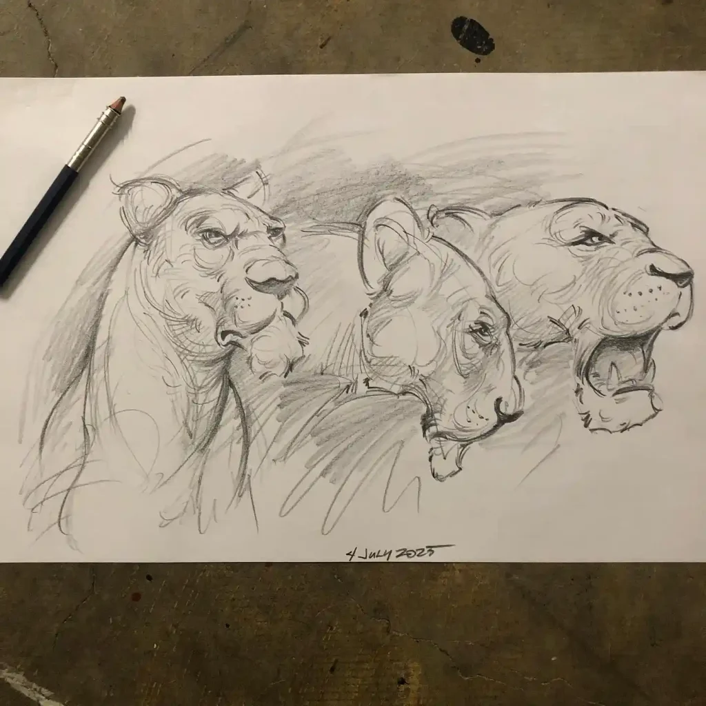 Lion Drawing