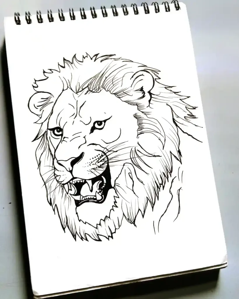 Lion Drawing