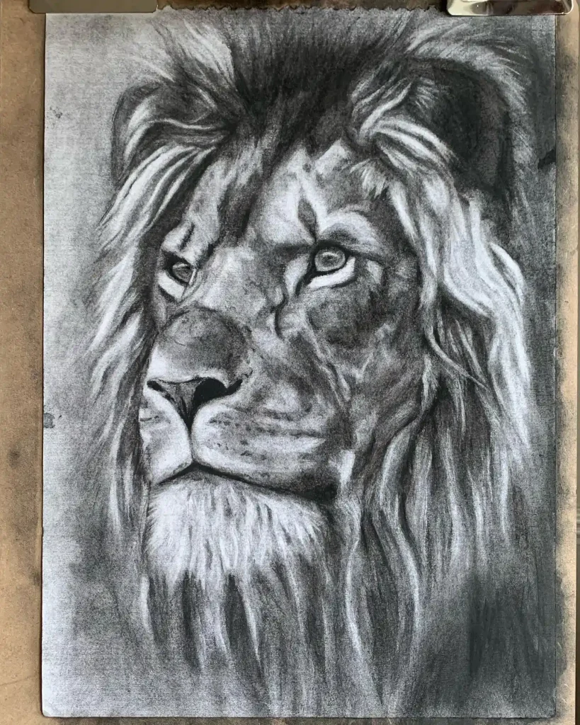 Lion Drawing