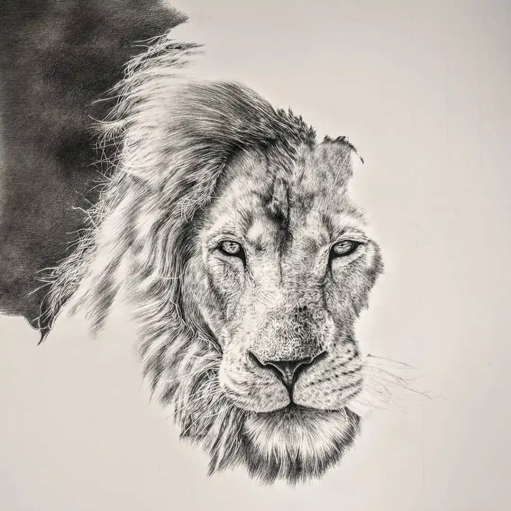 Lion Drawing