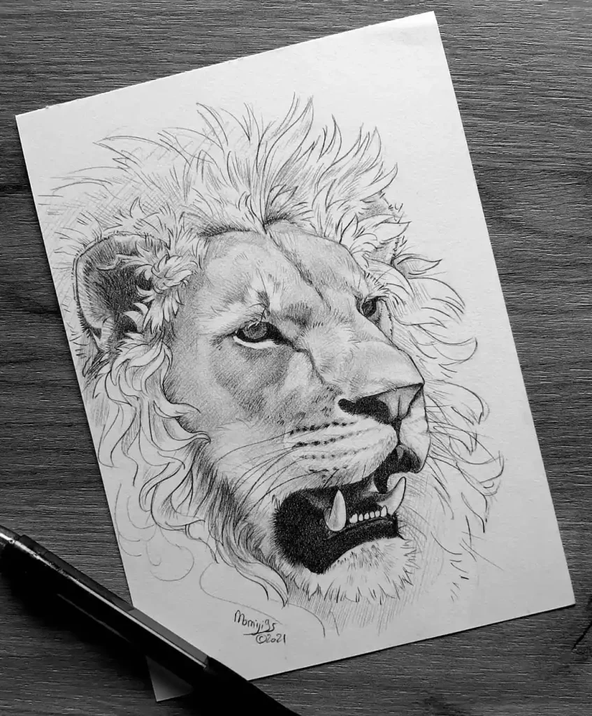 Lion Drawing