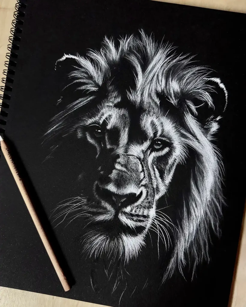 Lion Drawing