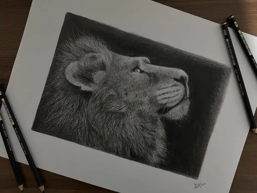 Lion Drawing