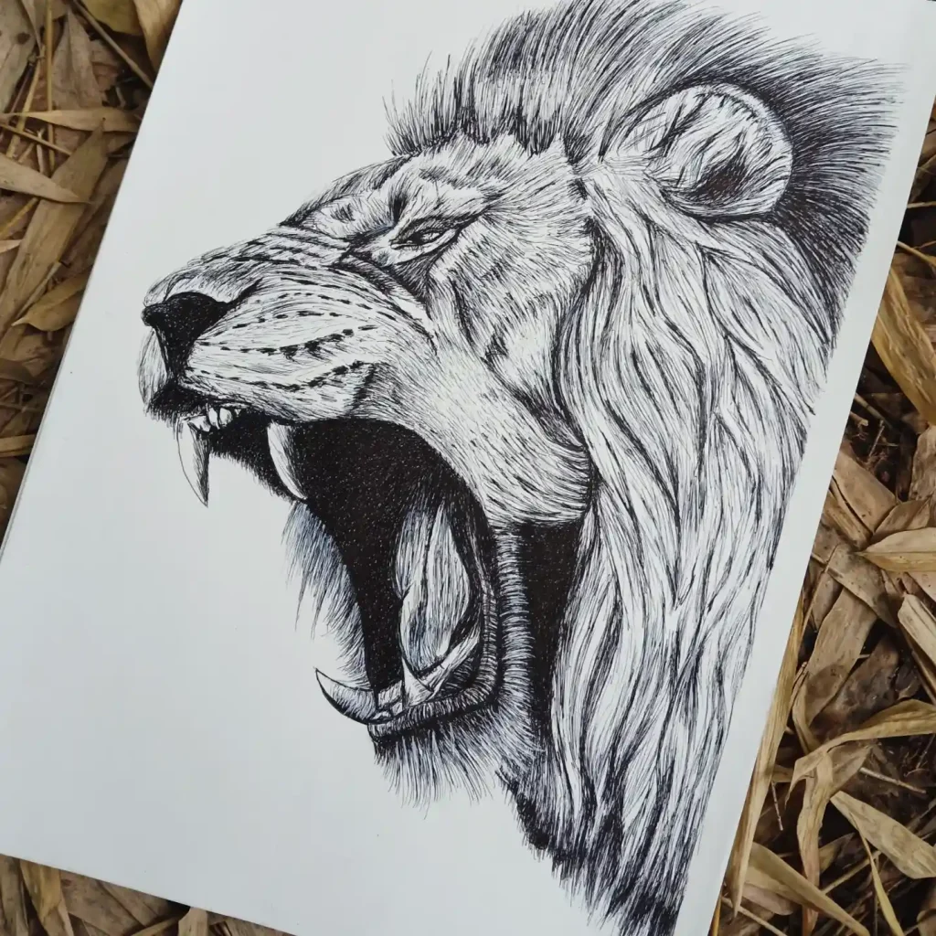 Lion Drawing