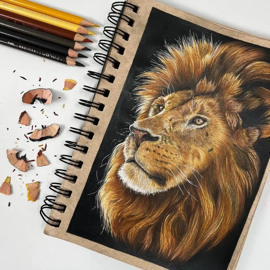 Lion Drawing