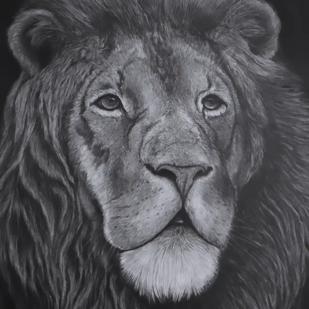 Lion Drawing