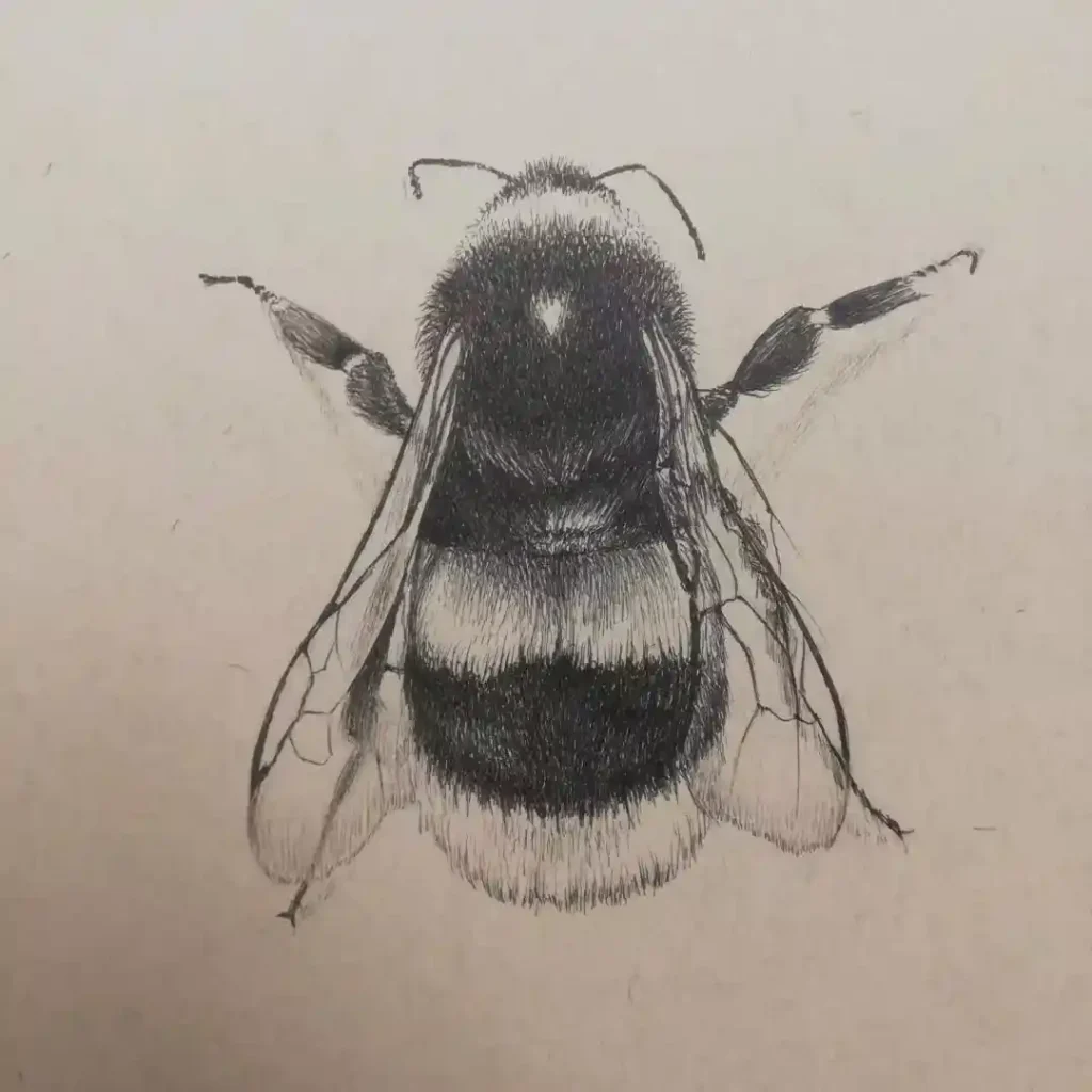 Bee Drawing
