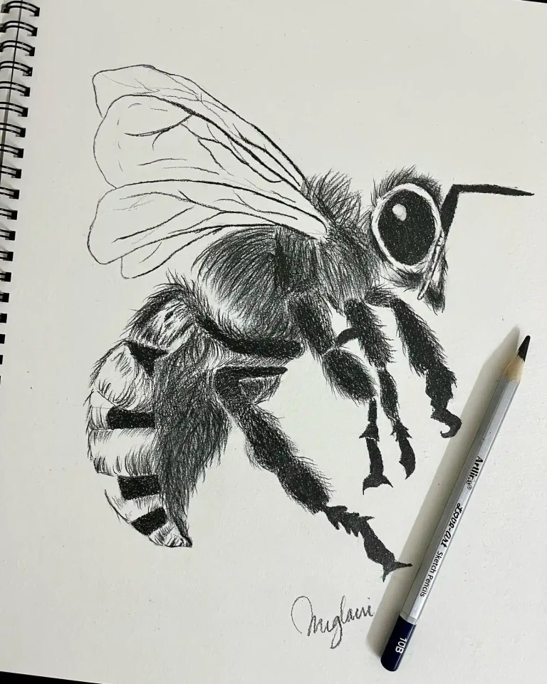 bee drawing (15)