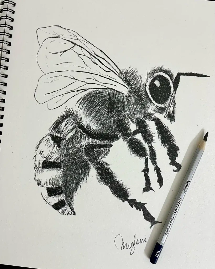 Bee Drawing