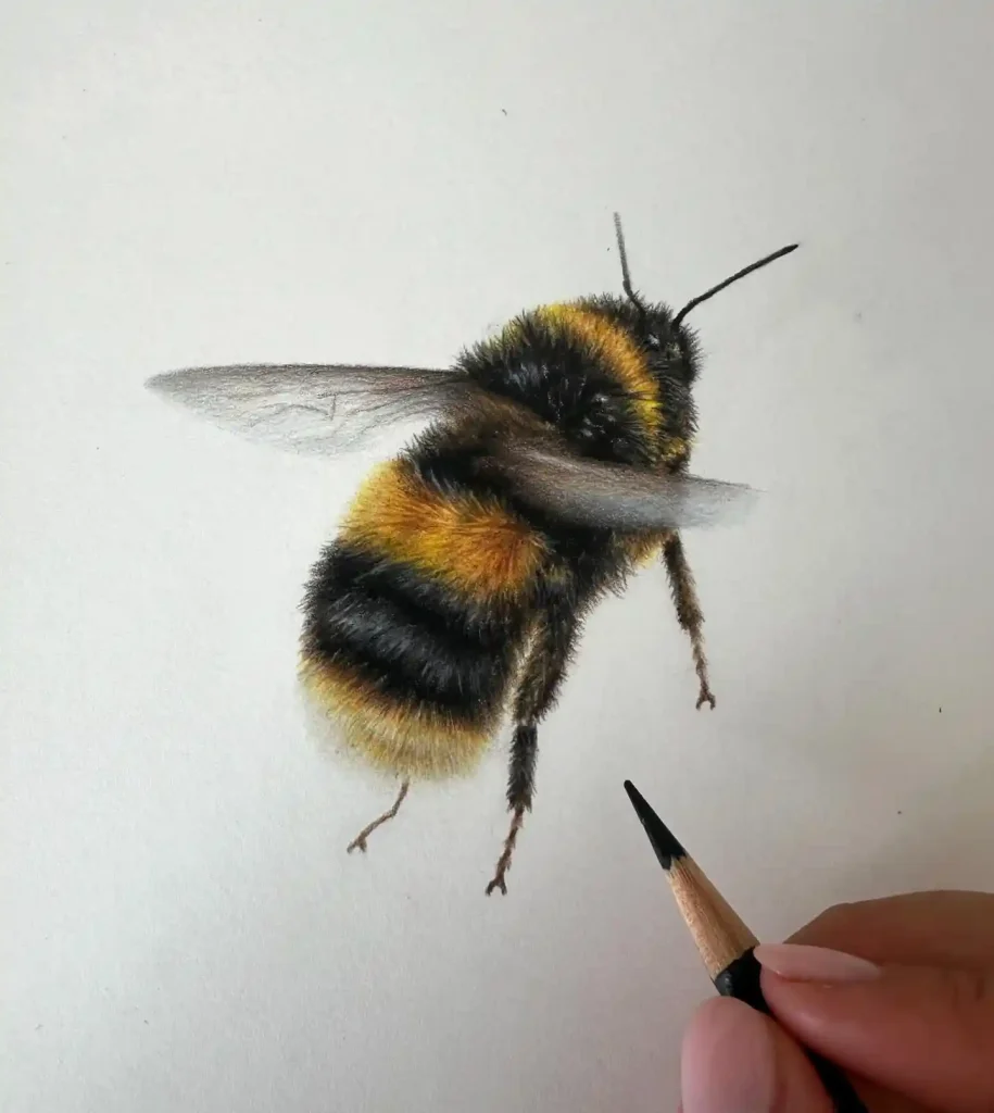 Bee Drawing