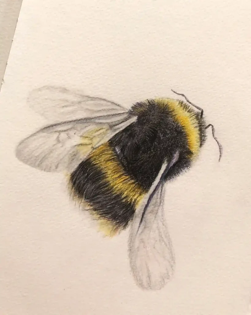 Bee Drawing