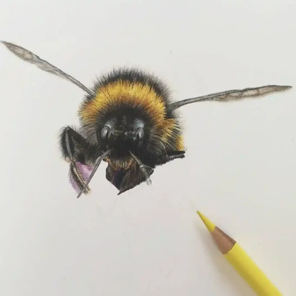 Bee Drawing