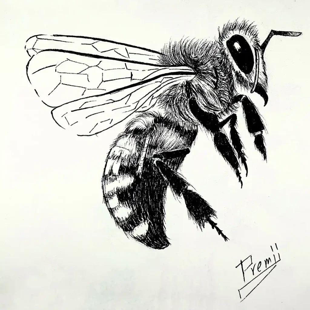 Bee Drawing