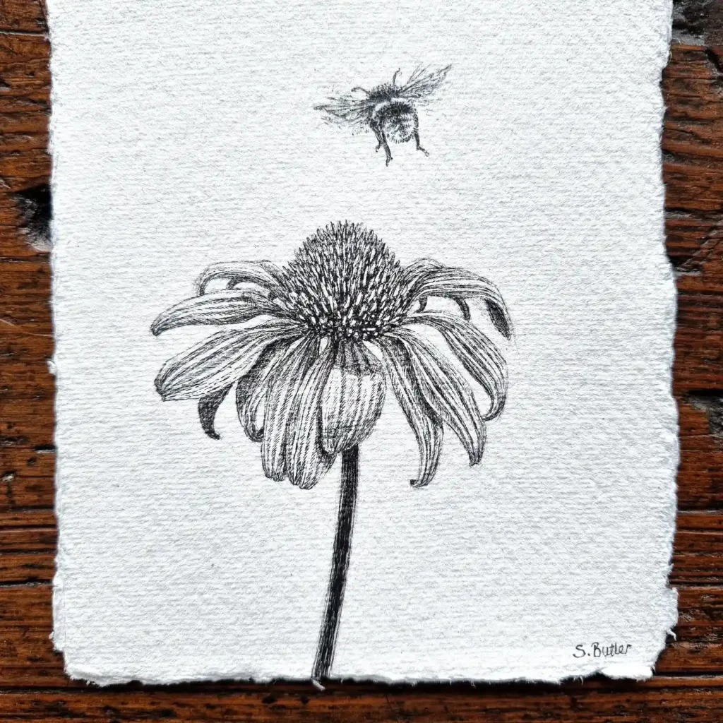Bee Drawing
