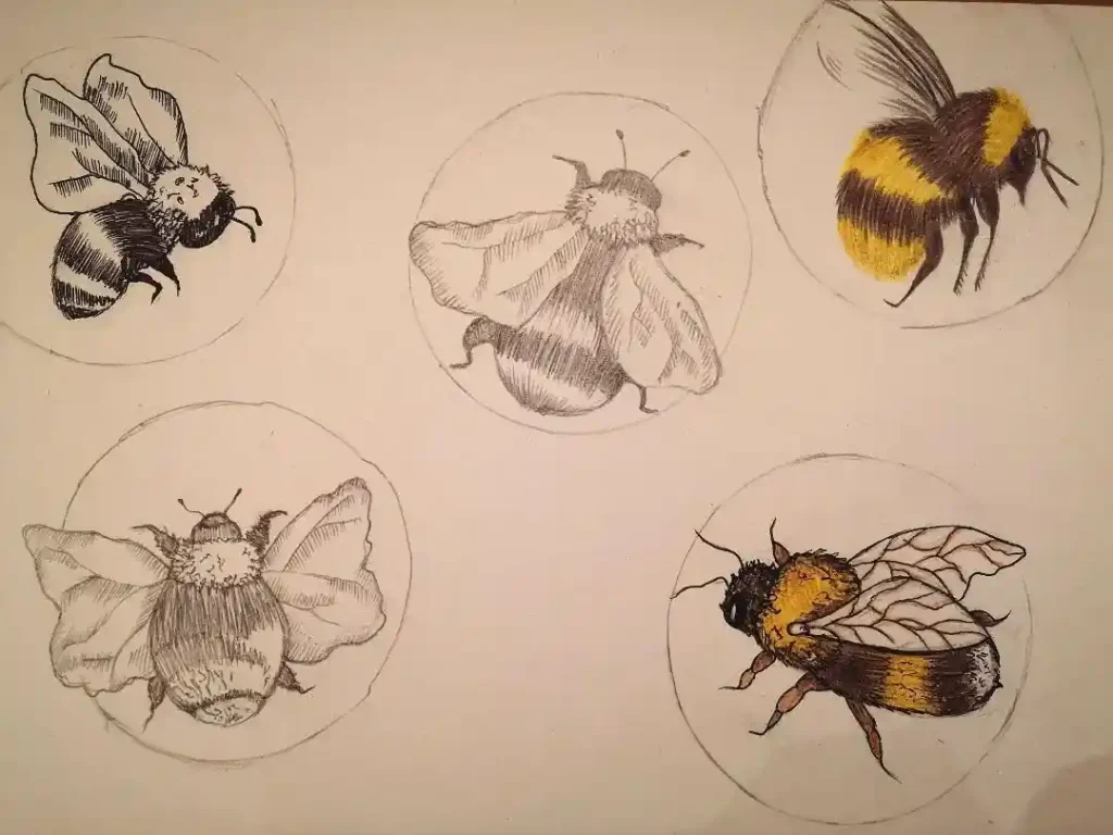 Bee Drawing