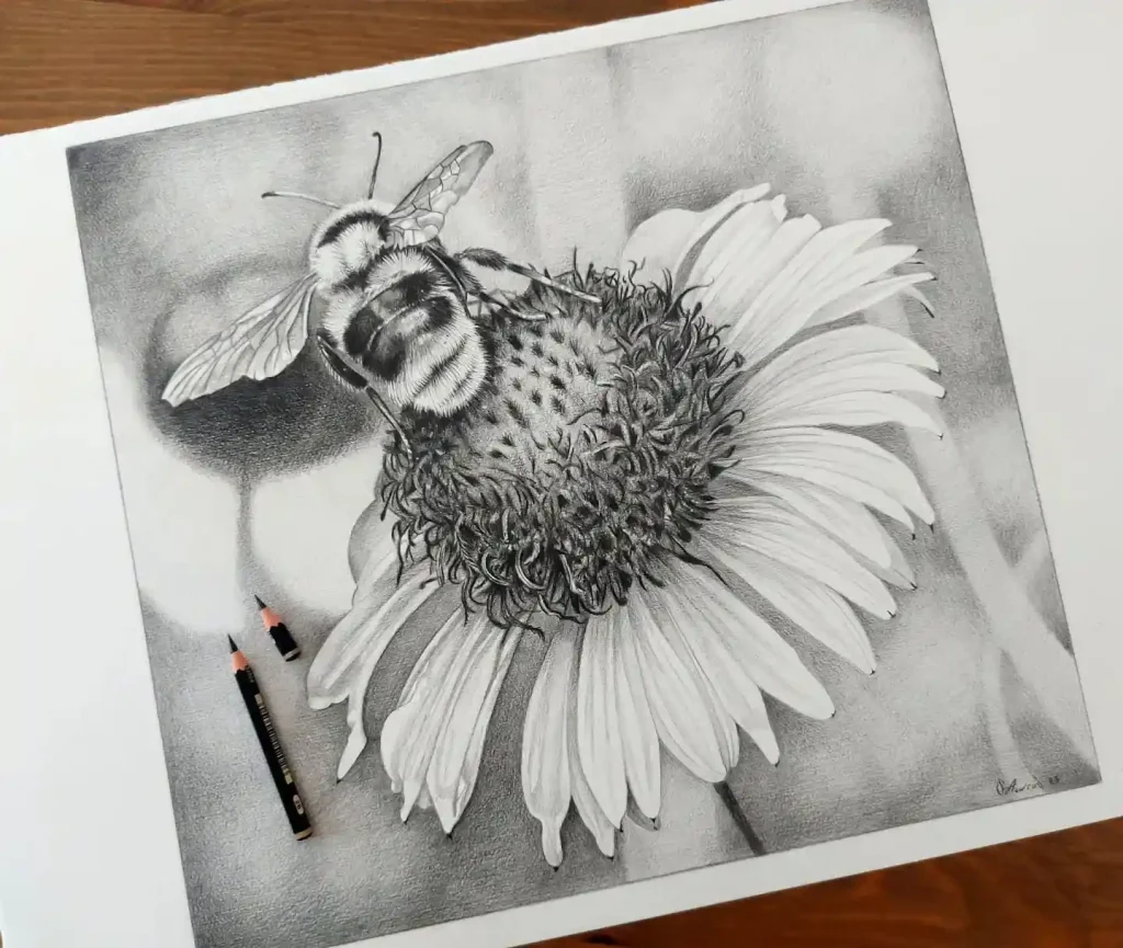 Bee Drawing