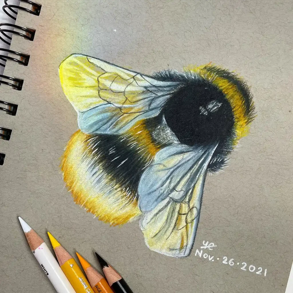 Bee Drawing