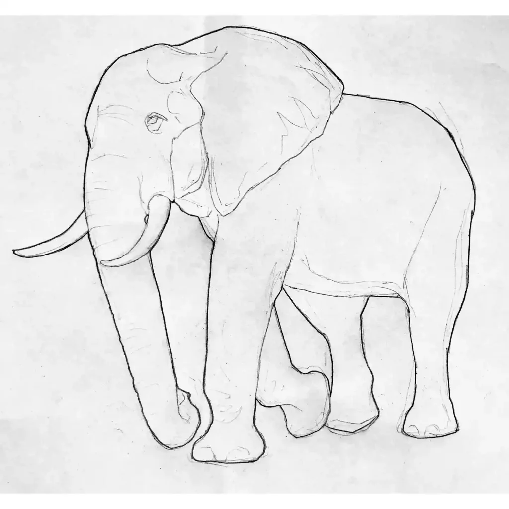 Elephant Drawing