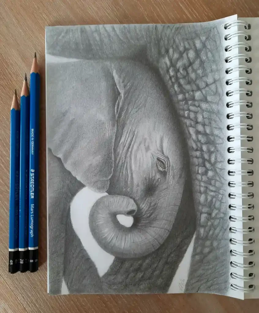 Elephant Drawing