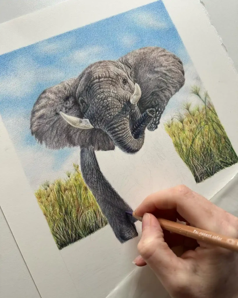 Elephant Drawing