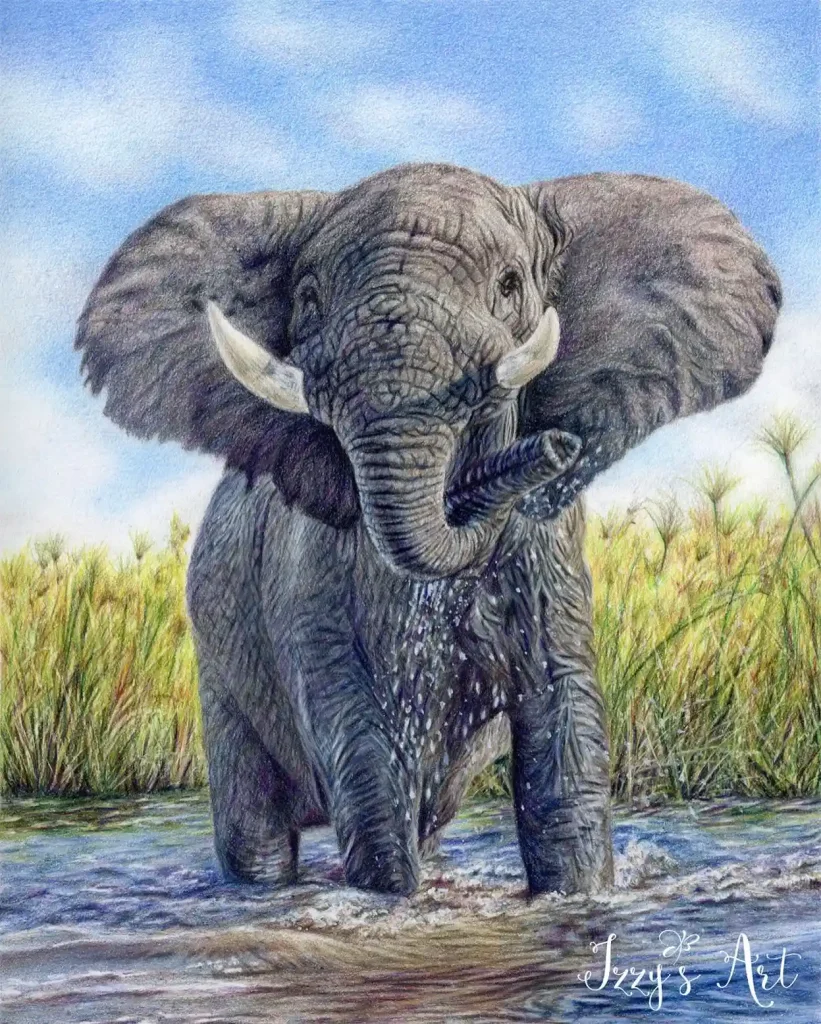 Elephant Drawing