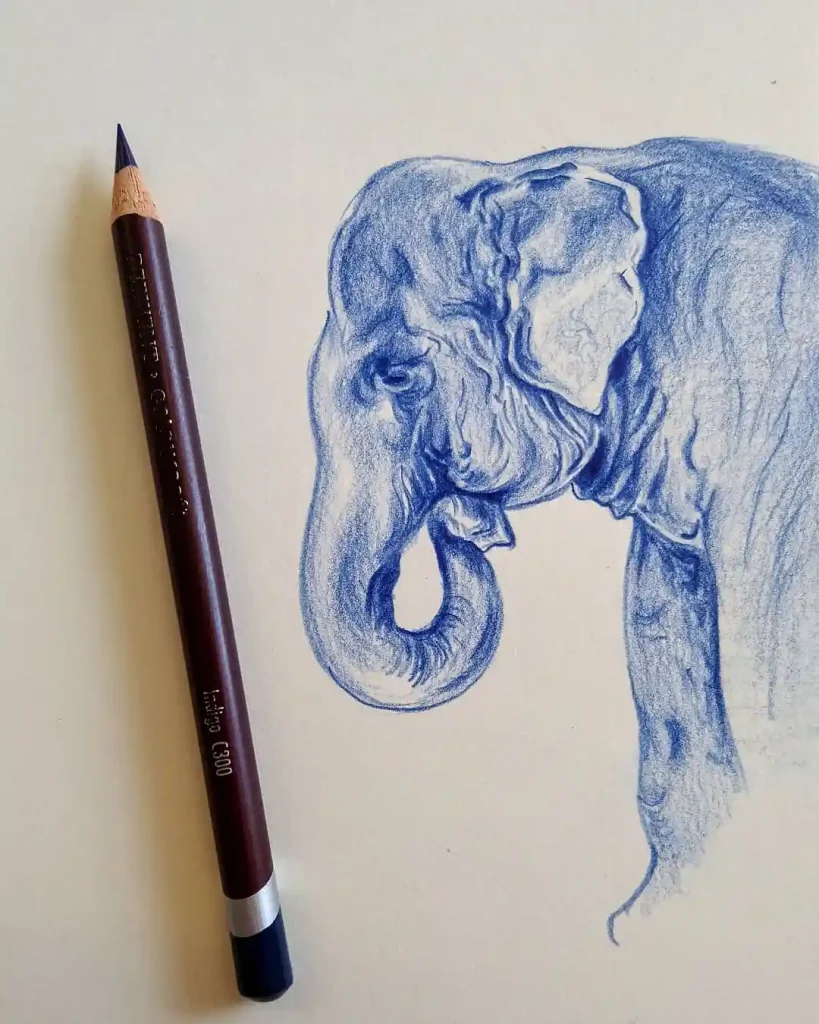 Elephant Drawing