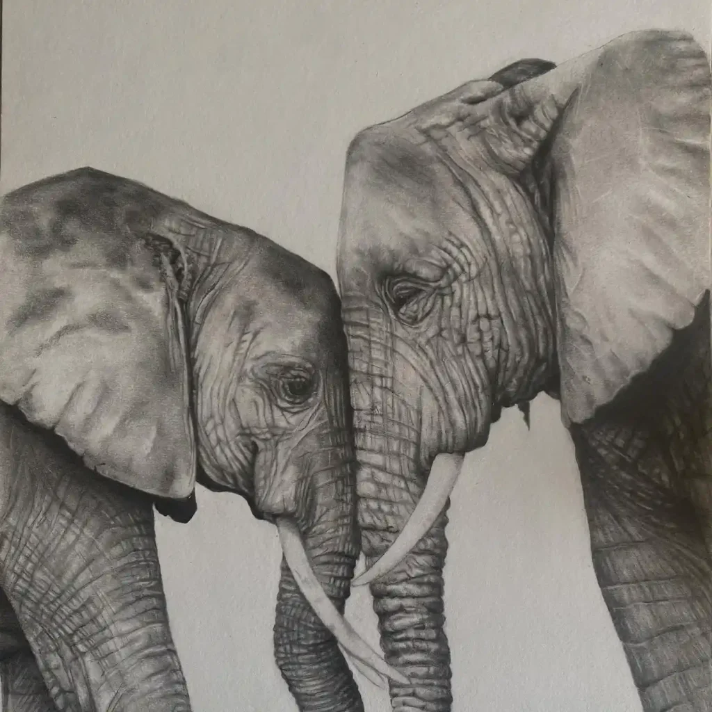 Elephant Drawing