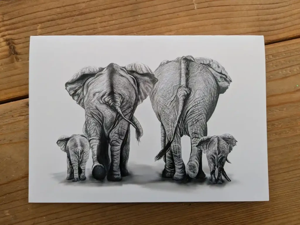 Elephant Drawing