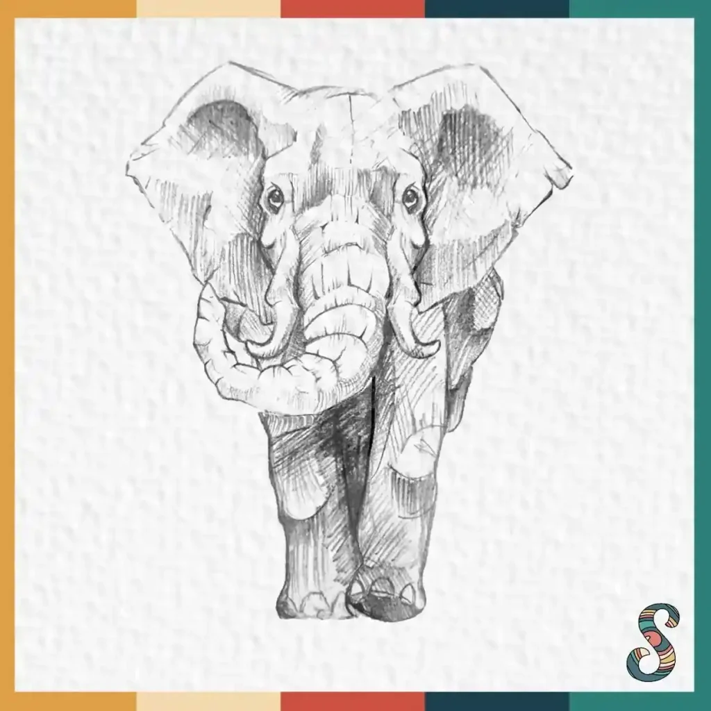 Elephant Drawing