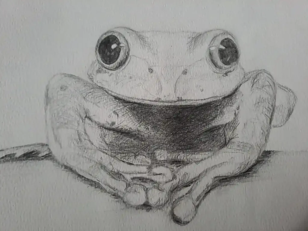 Frog Drawing Ideas