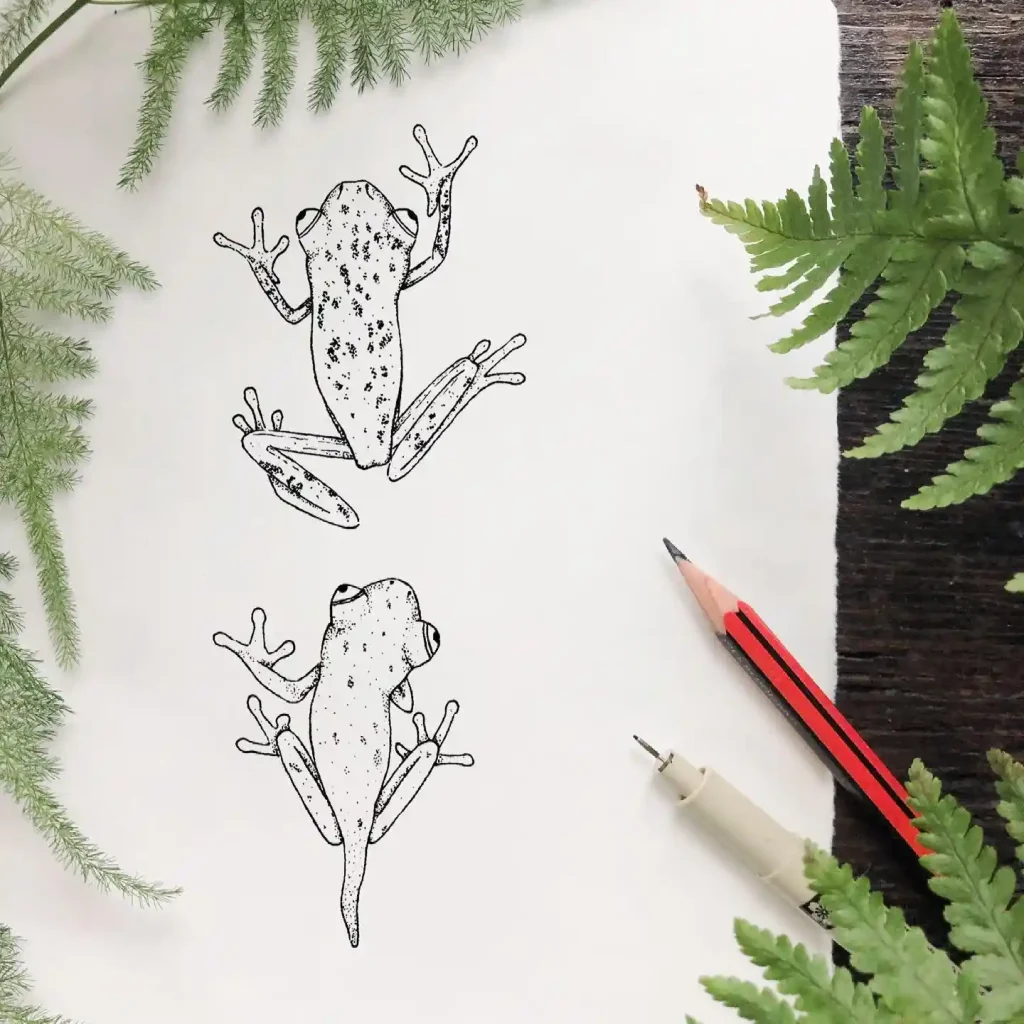 Frog Drawing Ideas