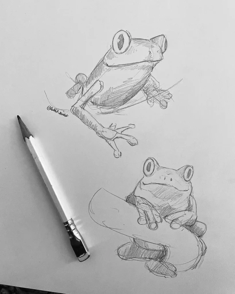 Frog Drawing Ideas