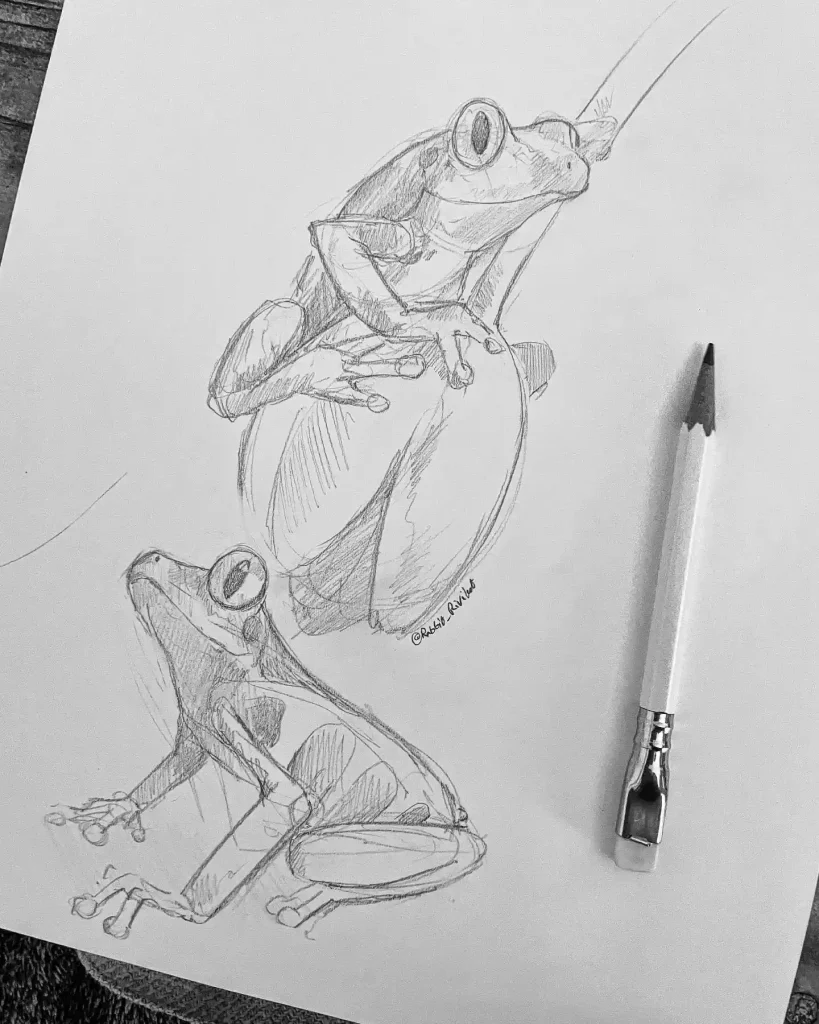 Frog Drawing Ideas