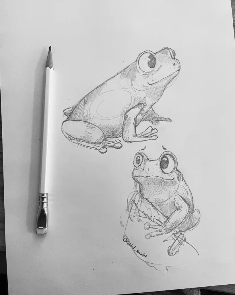Frog Drawing Ideas
