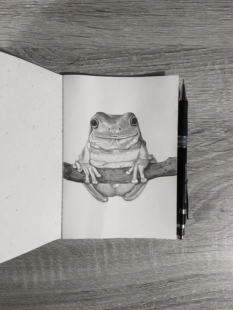 Frog Drawing Ideas