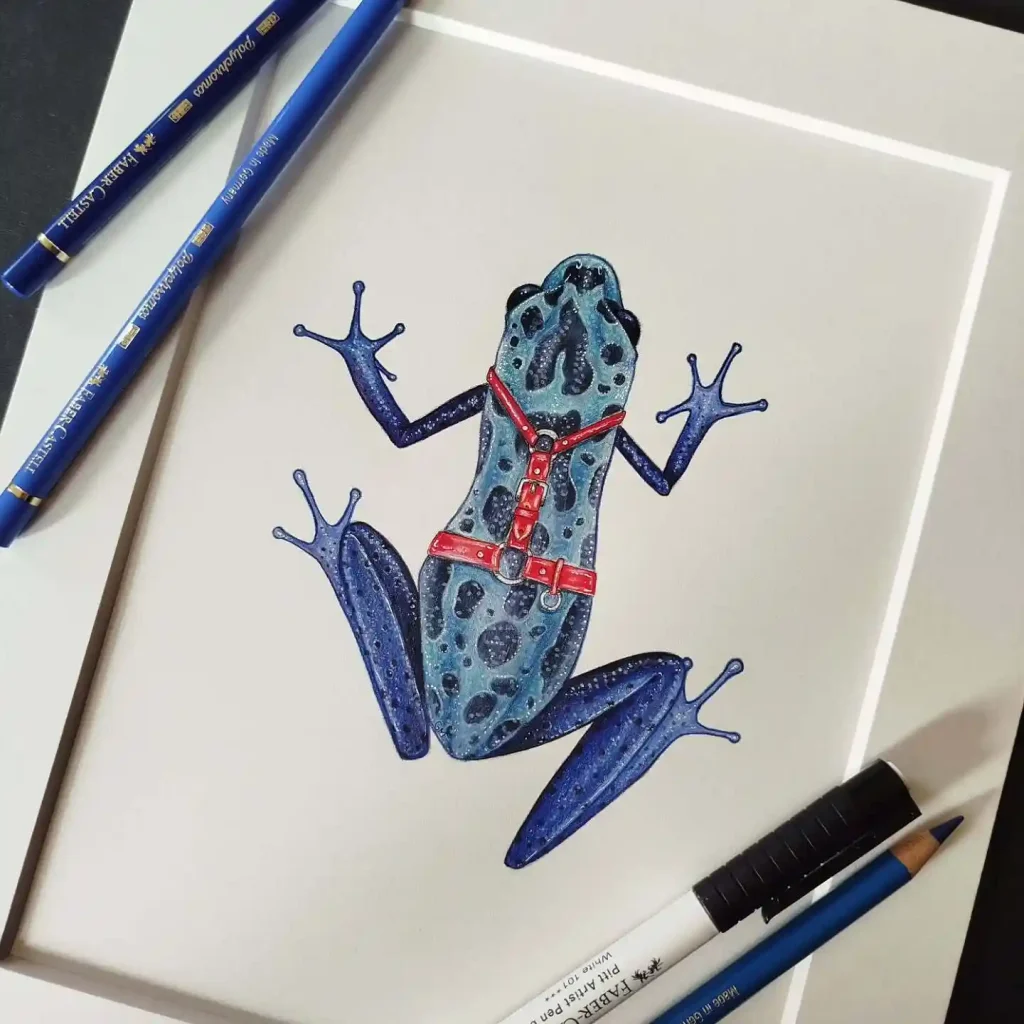 Frog Drawing Ideas