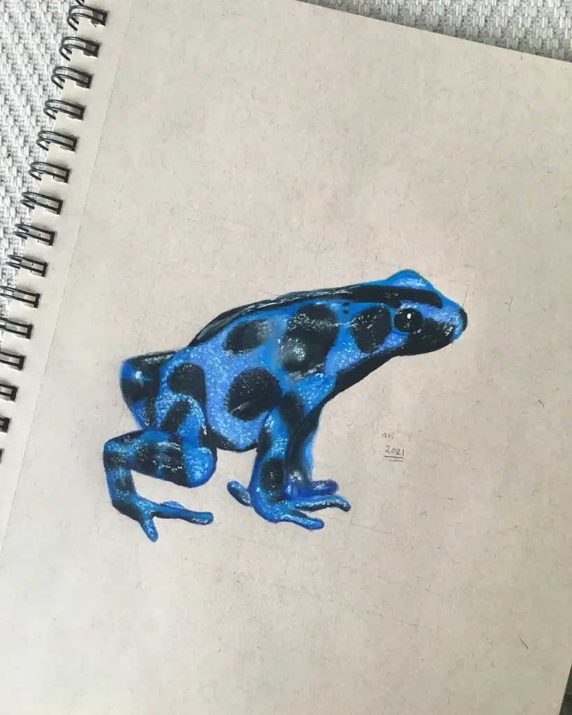 Frog Drawing Ideas