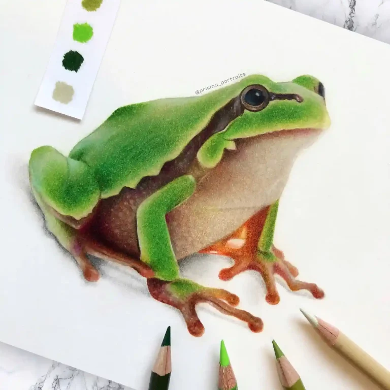 frog drawing (5)