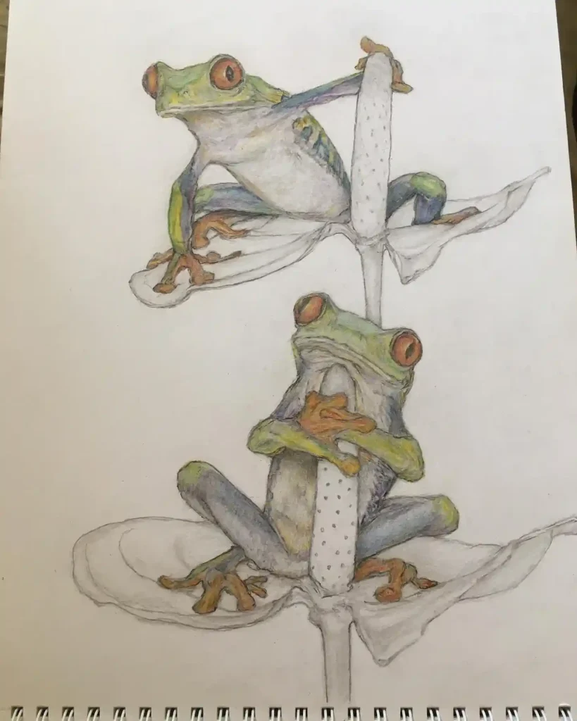 Frog Drawing Ideas
