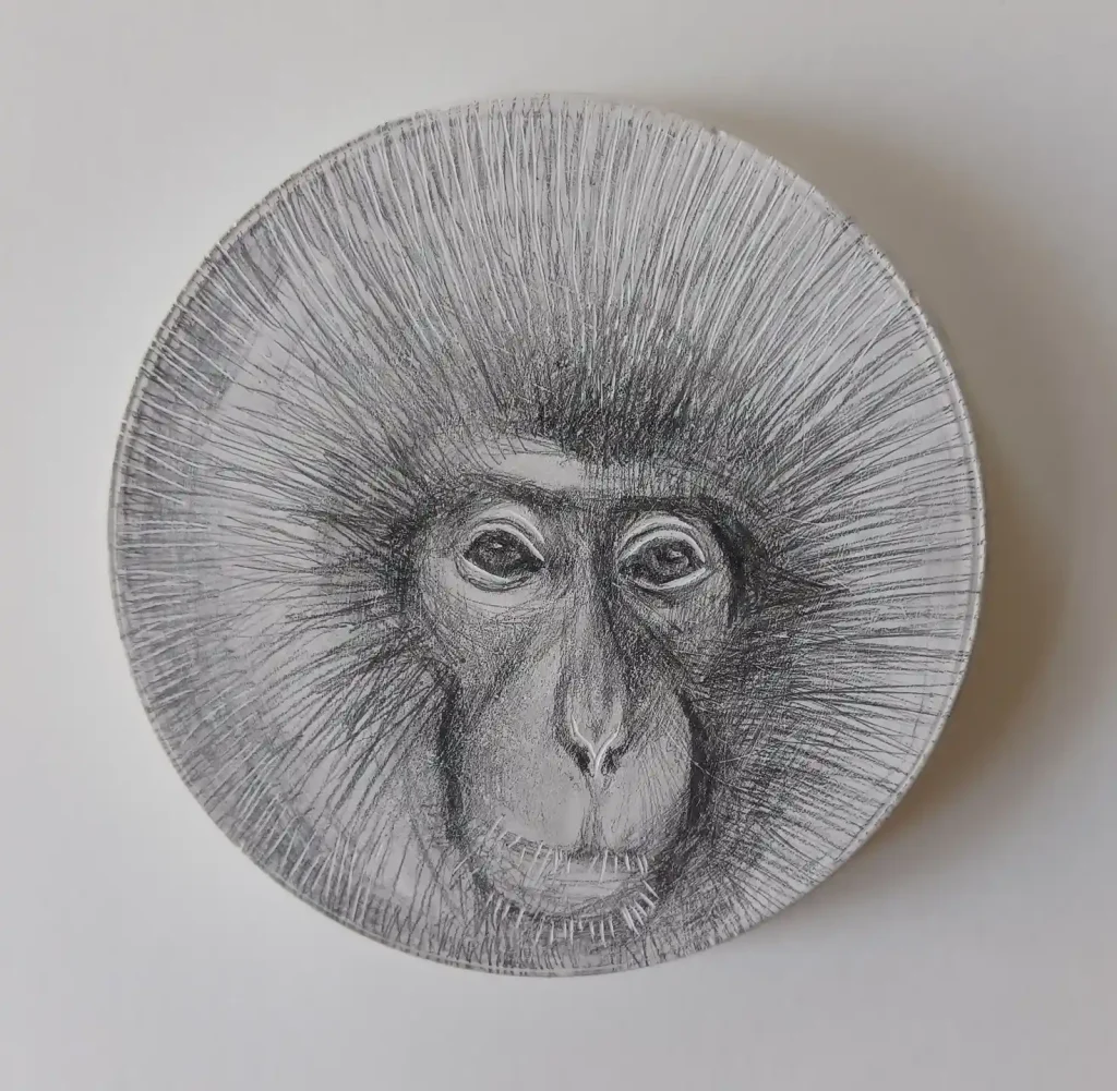 Monkey Drawing
