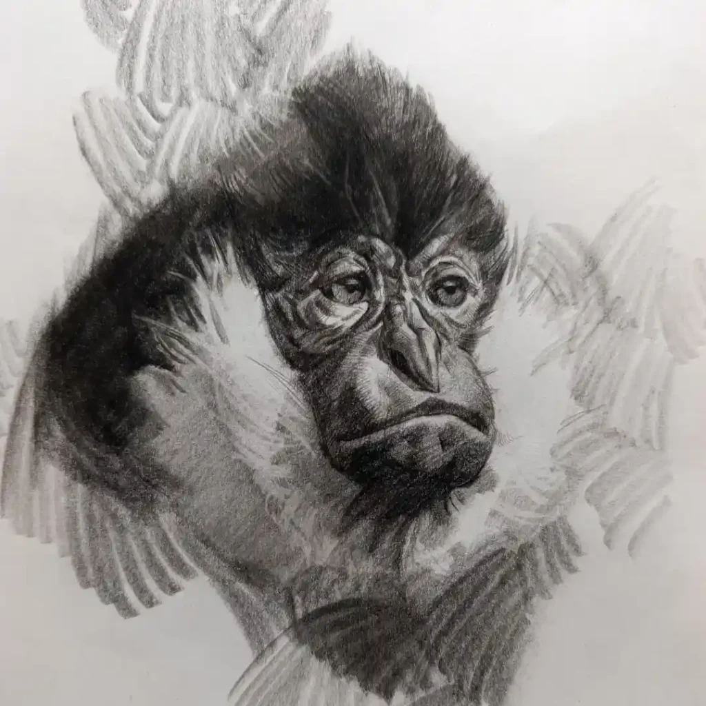 Monkey Drawing