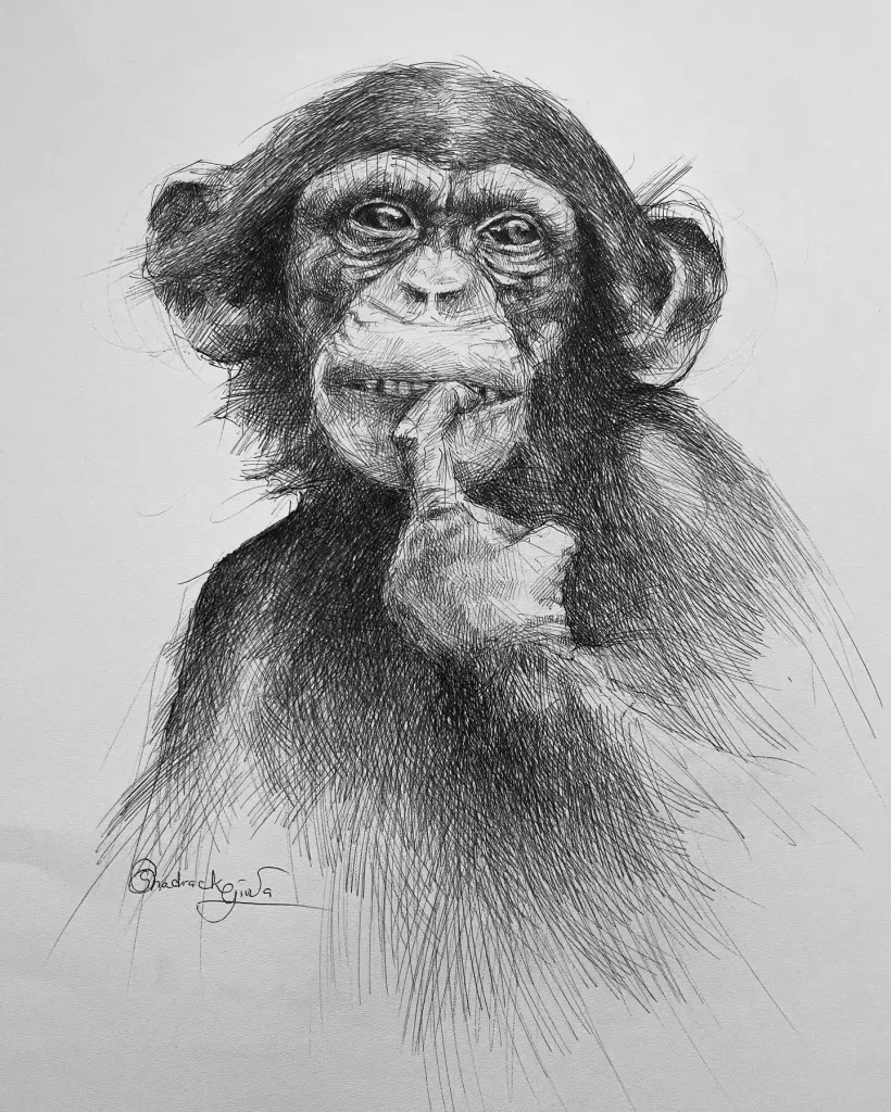 Monkey Drawing